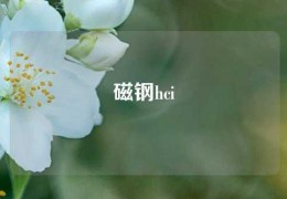 磁鋼hci