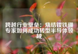 跨越行業(yè)壁壘：燒結(jié)釹鐵硼專家如何成功轉(zhuǎn)型半導體領(lǐng)域