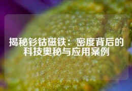 揭秘釤鈷磁鐵：密度背后的科技奧秘與應(yīng)用案例