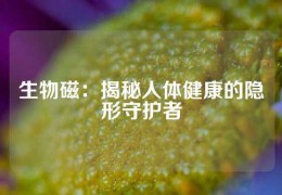 生物磁：揭秘人體健康的隱形守護(hù)者