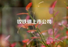 釹鐵硼上市公司