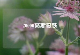 20000高斯磁鐵