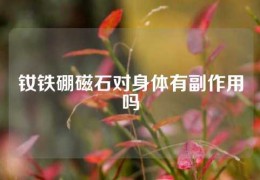 釹鐵硼磁石對身體有副作用嗎