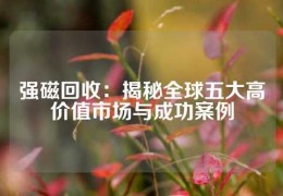 強(qiáng)磁回收：揭秘全球五大高價(jià)值市場與成功案例