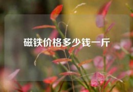 磁鐵價格多少錢一斤