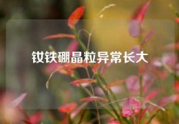 釹鐵硼晶粒異常長大