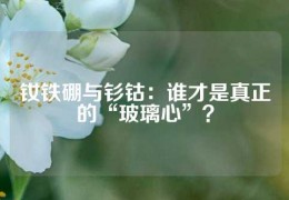 釹鐵硼與釤鈷：誰才是真正的“玻璃心”？