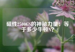 磁性2500GS的神秘力量：等于多少牛頓N？
