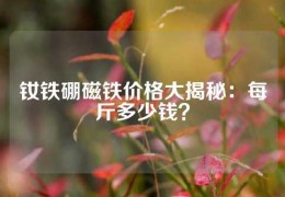 釹鐵硼磁鐵價格大揭秘：每斤多少錢？