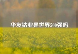 華友鈷業是世界500強嗎