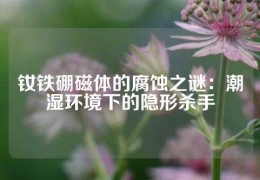 釹鐵硼磁體的腐蝕之謎：潮濕環(huán)境下的隱形殺手