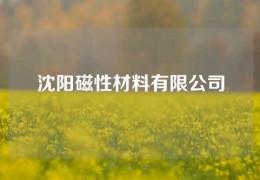 沈陽磁性材料有限公司
