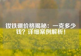 釹鐵硼價格揭秘：一克多少錢？詳細案例解析！