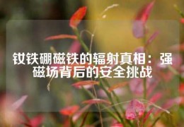 釹鐵硼磁鐵的輻射真相：強磁場背后的安全挑戰