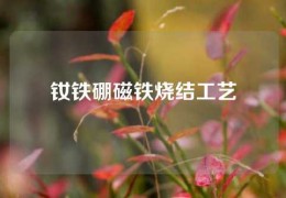 釹鐵硼磁鐵燒結(jié)工藝