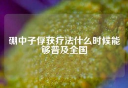 硼中子俘獲療法什么時候能夠普及全國