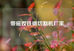 帶磁釹鐵硼切割機(jī)廠家