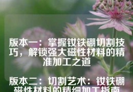 版本一：掌握釹鐵硼切割技巧，解鎖強大磁性材料的精準加工之道

版本二：切割藝術：釹鐵硼磁性材料的精細加工指南

版本三：精準切割的秘密：釹鐵硼磁性材料加工實戰解析