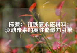 標(biāo)題： 釹鐵氮永磁材料：驅(qū)動未來的高性能磁力引擎