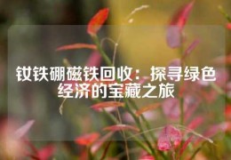 釹鐵硼磁鐵回收：探尋綠色經濟的寶藏之旅