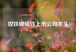 釹鐵硼磁鐵上市公司龍頭