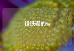 釹鐵硼的Sa