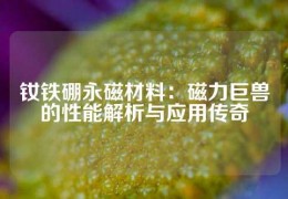 釹鐵硼永磁材料：磁力巨獸的性能解析與應用傳奇