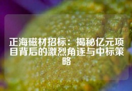 正海磁材招標(biāo)：揭秘億元項目背后的激烈角逐與中標(biāo)策略