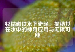 釤鈷磁鐵水下奇緣：揭秘其在水中的神奇應(yīng)用與無(wú)限可能