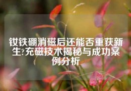 釹鐵硼消磁后還能否重獲新生?充磁技術揭秘與成功案例分析