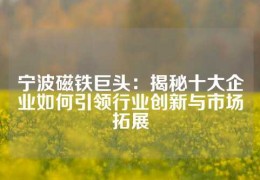 寧波磁鐵巨頭：揭秘十大企業(yè)如何引領(lǐng)行業(yè)創(chuàng)新與市場(chǎng)拓展