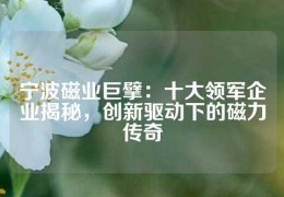寧波磁業(yè)巨擘：十大領(lǐng)軍企業(yè)揭秘，創(chuàng)新驅(qū)動(dòng)下的磁力傳奇
