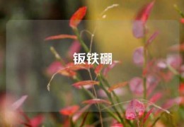 鈑鐵硼