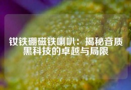 釹鐵硼磁鐵喇叭：揭秘音質黑科技的卓越與局限