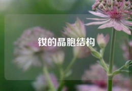 釹的晶胞結構
