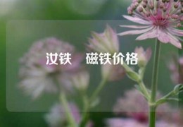 汝鐵錋磁鐵價格