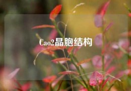 Cao2晶胞結(jié)構(gòu)