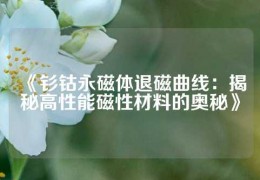 《釤鈷永磁體退磁曲線：揭秘高性能磁性材料的奧秘》