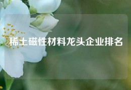 稀土磁性材料龍頭企業(yè)排名