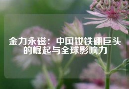 金力永磁：中國(guó)釹鐵硼巨頭的崛起與全球影響力