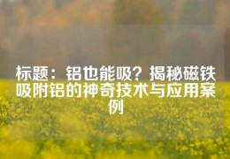 標題：鋁也能吸？揭秘磁鐵吸附鋁的神奇技術(shù)與應(yīng)用案例