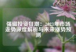 強(qiáng)磁投資狂潮：2023年市場走勢深度解析與未來漲勢預(yù)測