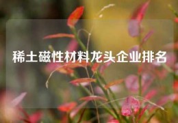 稀土磁性材料龍頭企業(yè)排名