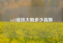 n52磁鐵大概多少高斯