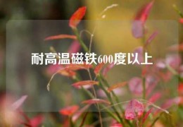 耐高溫磁鐵600度以上