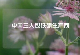 中國三大釹鐵硼生產商