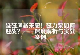 強磁風暴來襲！磁力泵如何迎戰？——深度解析與實戰案例