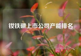 釹鐵硼上市公司產(chǎn)能排名