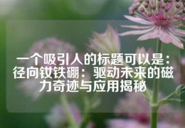 一個吸引人的標(biāo)題可以是：
徑向釹鐵硼：驅(qū)動未來的磁力奇跡與應(yīng)用揭秘