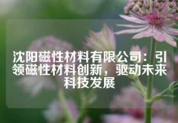 沈陽磁性材料有限公司：引領磁性材料創(chuàng)新，驅動未來科技發(fā)展